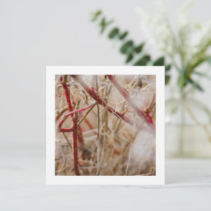 Gardening Visitekaartjes Wilde Rozen Kaart