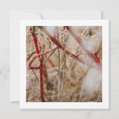 Gardening Visitekaartjes Wilde Rozen Kaart (Voorkant)