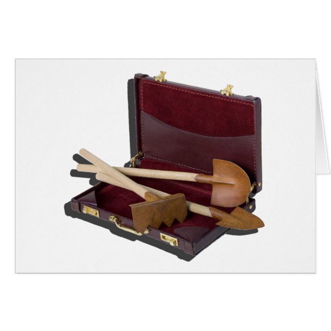 GardeningToolsBriefcase012915.png (Voorkant Horizontaal)