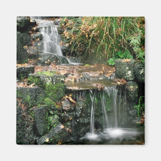 Gardent Delight Magnet (Voorkant)