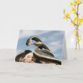 GARDER SNAKE KAART (Gele Bloem)