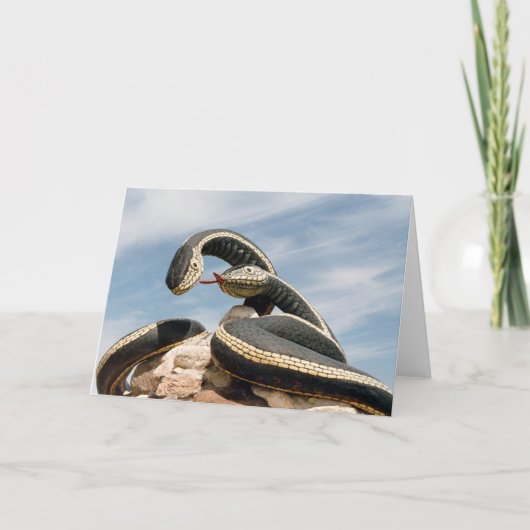 GARDER SNAKE KAART (Voorkant)