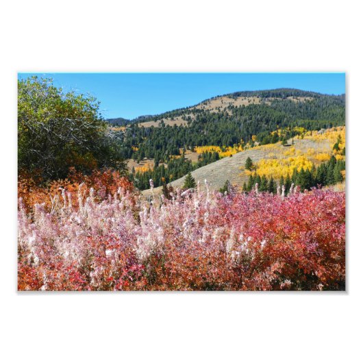 Gardiner Mountain Schilderij Foto Afdruk (Voorkant)