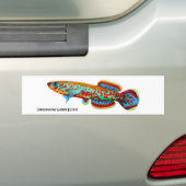 Gardneri Killifish Bumpersticker (Op auto)