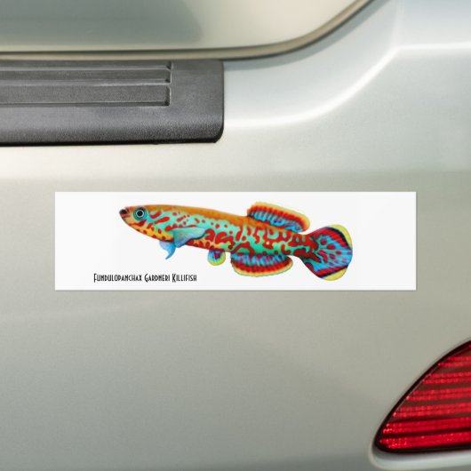 Gardneri Killifish Bumpersticker (Op auto)