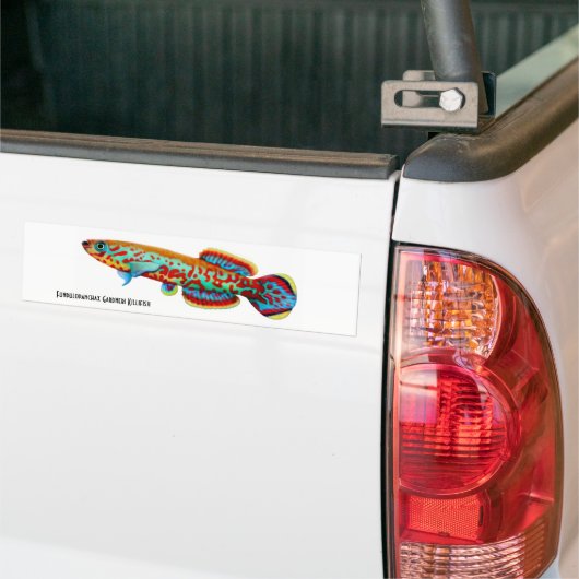 Gardneri Killifish Bumpersticker (Op Truck)