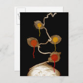 garen bloei 2013 briefkaart (Voorkant / Achterkant)