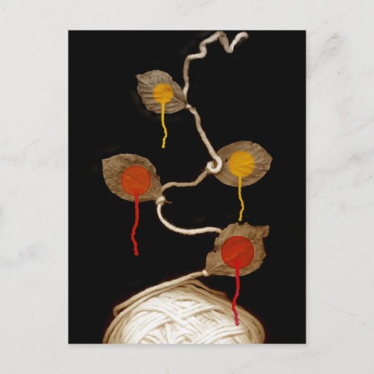 garen bloei 2013 briefkaart (Voorkant)