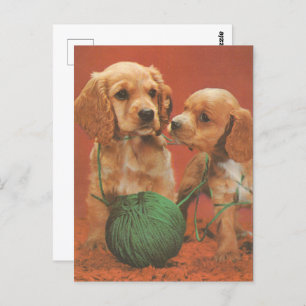 Garen en genegenheid, Cocker Spaniels bij Play Briefkaart