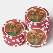 Garen en genegenheid, Cocker Spaniels bij Play Poker Chips (Opstapeling)