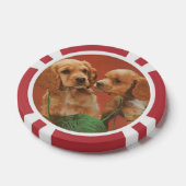 Garen en genegenheid, Cocker Spaniels bij Play Poker Chips (Enkel)