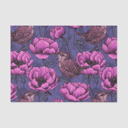 Garens in de tuin van de anemone tissuepapier (Voorkant)