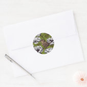 Garens in de witte anemontuin ronde sticker (Envelop)