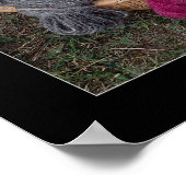 Garens mandje poster (Hoek)