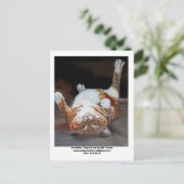 Garfelda, Garfelda, Originele Kunst van AM Torrezw Briefkaart (Staand voorkant)