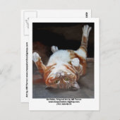 Garfelda, Garfelda, Originele Kunst van AM Torrezw Briefkaart (Voorkant / Achterkant)