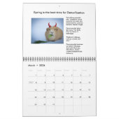 Garfunkel, de cavia's, de seizoensgebonden tips kalender (Mar 2026)