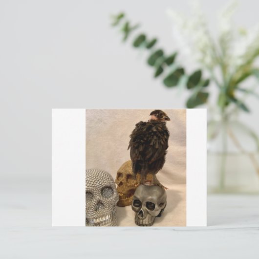 Gargoyle Briefkaart (Staand voorkant)