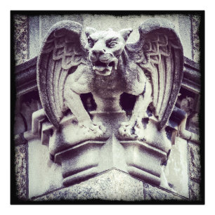 Gargoyle Foto Afdruk