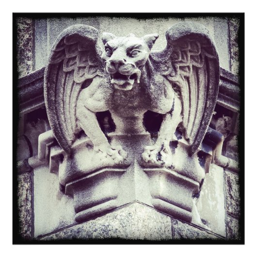 Gargoyle Foto Afdruk (Voorkant)