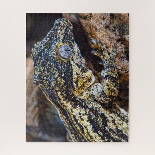 Gargoyle Gecko Pet Lizard Legpuzzel (Verticaal)