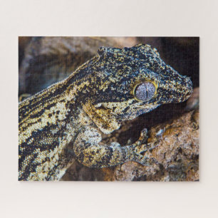 Gargoyle Gecko Pet Lizard Legpuzzel