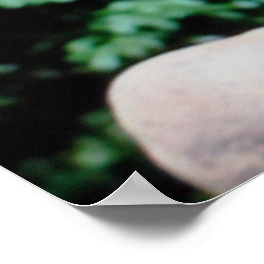 Gargoyle in het Poster van de tuin (Hoek)