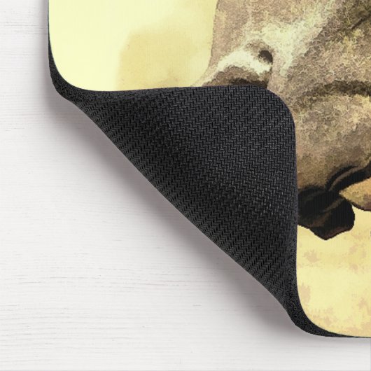 GARGOYLE MUISMAT (Hoek)