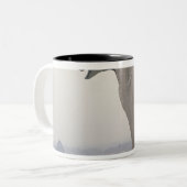 Gargoyle op de balustrade van de Grande Tweekleurige Koffiemok (Voorkant links)