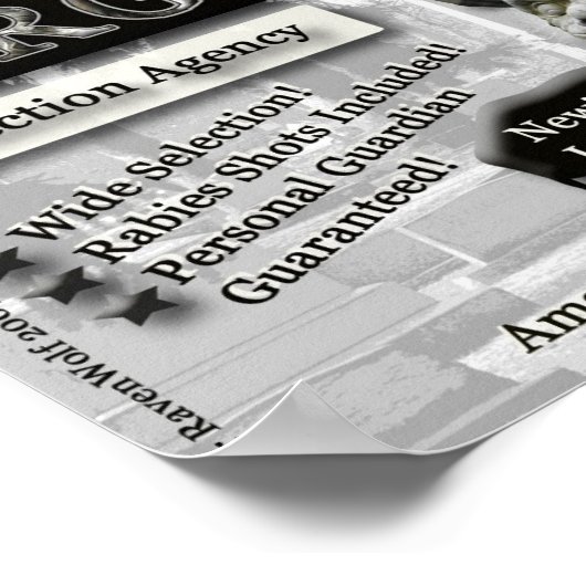 Gargoyle Protection Agency Canvas Print (Hoek)