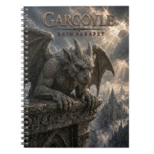 Gargoyle Regen Borstwering Donkere Bioscoop