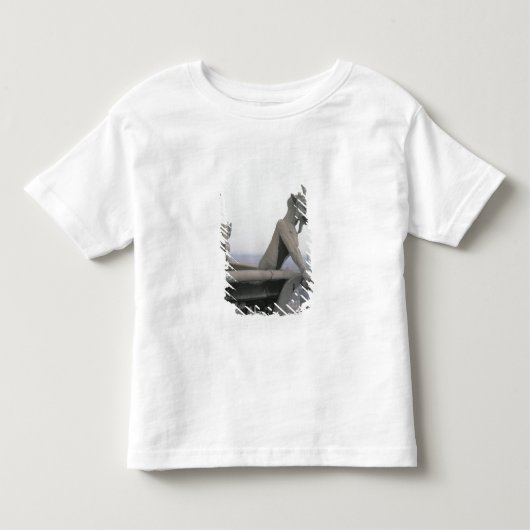 Gargoyle uit de balustrade van de Grande Kinder Shirts (Voorkant)