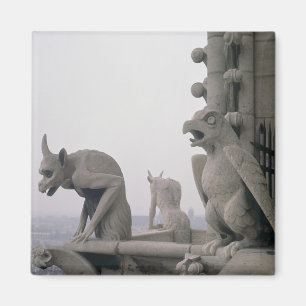 Gargoyles op de balustrade van de Grande Magneet