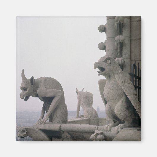 Gargoyles op de balustrade van de Grande Magneet (Voorkant)