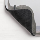 Gargoyles op de balustrade van de Grande Muismat (Hoek)