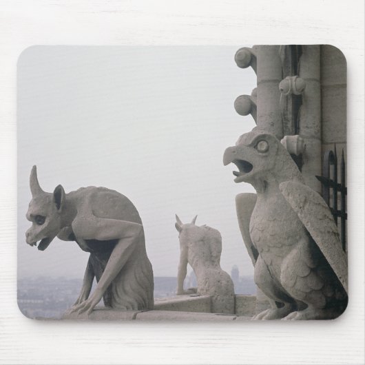 Gargoyles op de balustrade van de Grande Muismat (Voorkant)