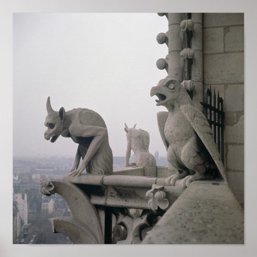 Gargoyles op de balustrade van de Grande Poster (Voorkant)