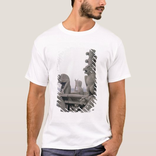 Gargoyles op de balustrade van de Grande T-shirt (Voorkant)