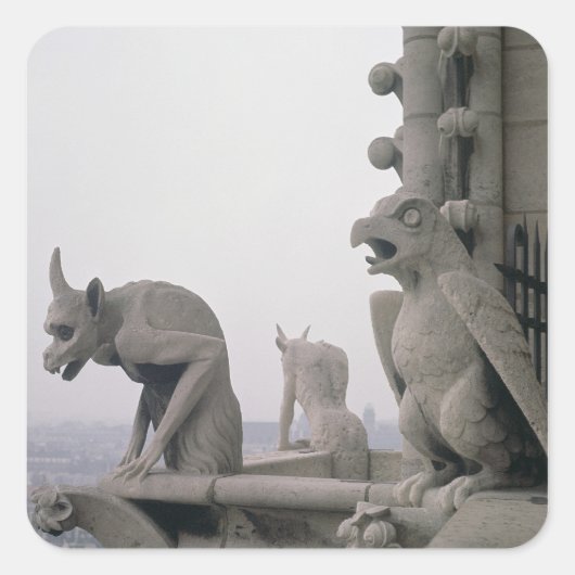 Gargoyles op de balustrade van de Grande Vierkante Sticker (Voorkant)