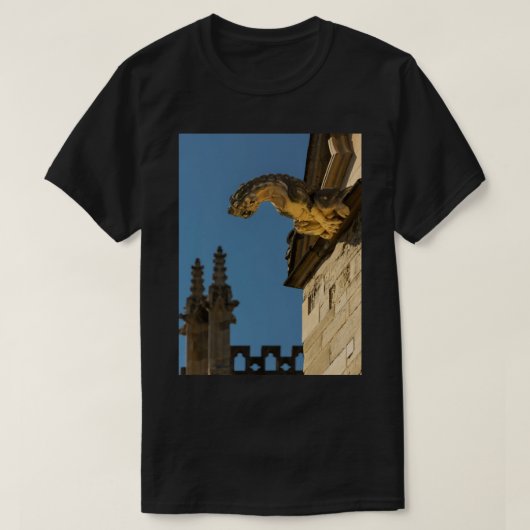 Gargoyles over York Minister Long T-shirt (Design voorkant)