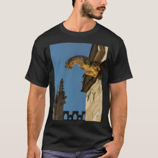 Gargoyles over York Minister Long T-shirt
