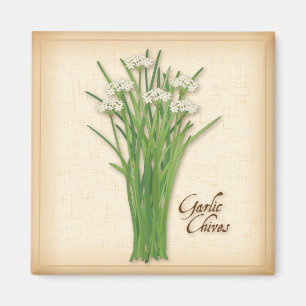 Garlic Chives Herb Magneet