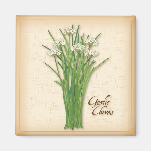 Garlic Chives Herb Magneet (Voorkant)