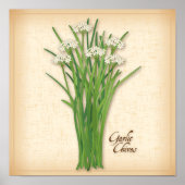 Garlic Chives Herb Poster (Voorkant)
