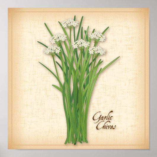 Garlic Chives Herb Poster (Voorkant)