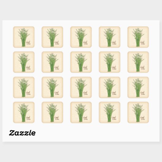 Garlic Chives Herb Square Sticker (Vel)