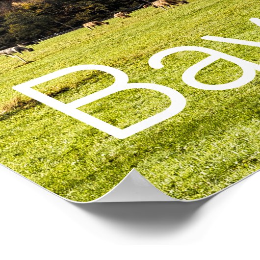 Garmisch Partenkirchen Alps Beieren Duitsland Poster (Hoek)