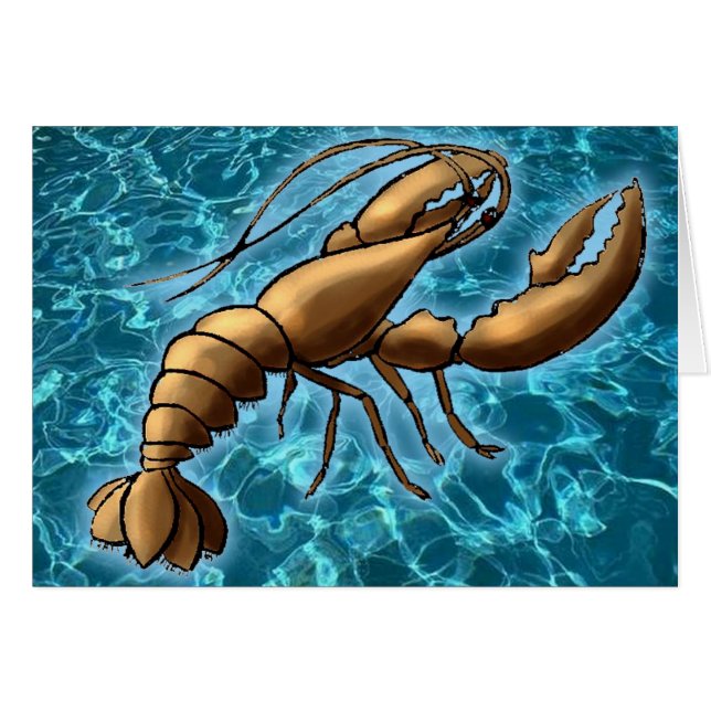 Garnaal (Voorkant Horizontaal)