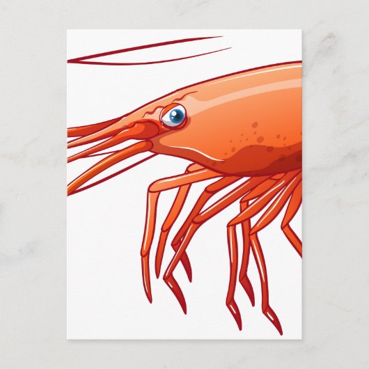 Garnaal Briefkaart (Voorkant)