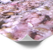 Garnaal en garnaal poster (Hoek)